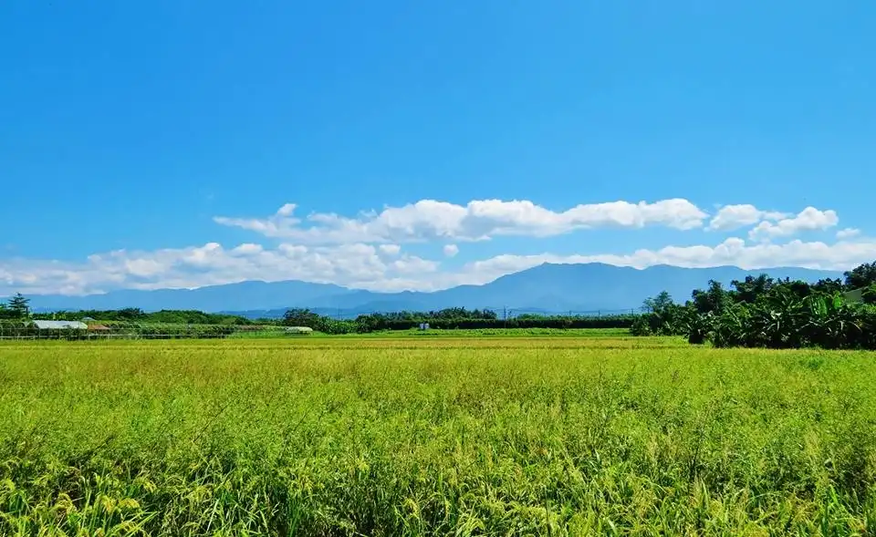 抱團前進中國大陸休閒、有機農業市場