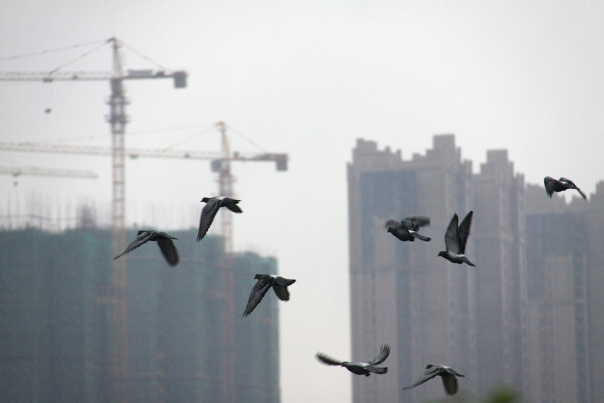 為何PM2.5越來越嚴重？空氣品質專家警告，這是臺灣人自己摧殘生活環境的結果